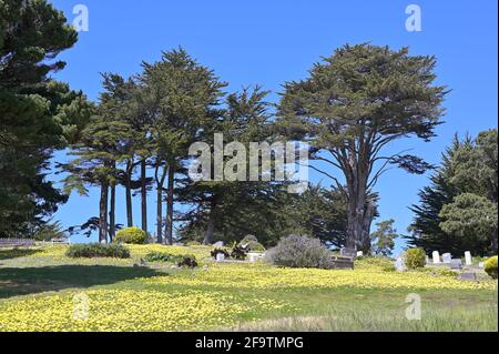 Il cimitero panoramico su una piccola collina sopra Mendocino, California del Nord CA Foto Stock