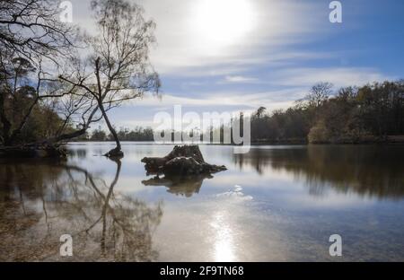 Parco Black Country Park Foto Stock