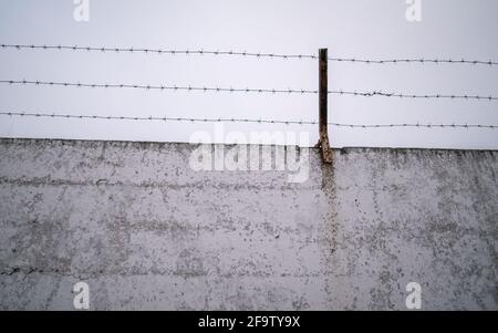 Filo spugnoso sulla cima di un vecchio cemento recinzione Foto Stock