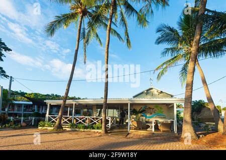Caffè in ambiente tropicale vicino alle palme sulla spiaggia, Horseshoe Bay, Bowen, Queensland, QLD, Australia Foto Stock