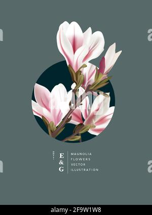 Rosa e bianco naturale magnolia fiori realistici layout contemporaneo. Evento marketing floreale e pianta sfondo illustrazione vettoriale. Illustrazione Vettoriale