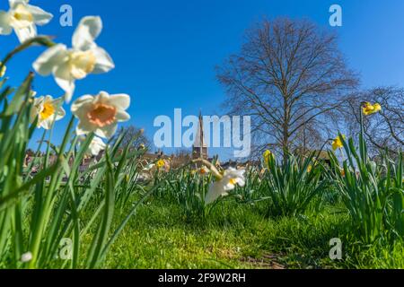 Vista del fiume Welland e della Chiesa di tutti i Santi dal Town Meadows, Stamford, South Kesteven, Lincolnshire, Inghilterra, Regno Unito, Europa Foto Stock