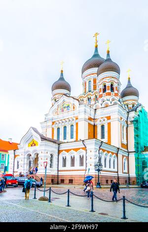 TALLIN, ESTONIA, 16 AGOSTO 2016: Le persone camminano di fronte alla cattedrale ortodossa russa Alexander Nevski a Toompea, parte di Tallin, Estonia Foto Stock