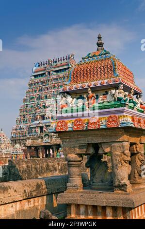Tempio Nataraja Chidambaram Tamil Nadu India Foto Stock