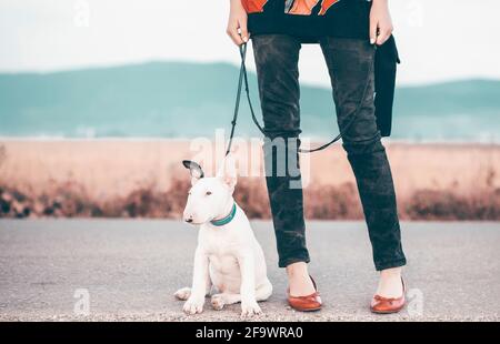 Donna con dolce toro terrier cucciolo sulla strada estiva Foto Stock