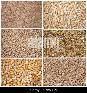 immagine composita di cereali per alimenti animali Foto Stock