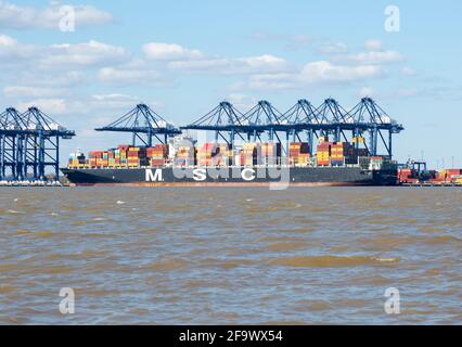 MSC Maria Saveria Container Ship, Trinity Terminal, Porto di Felixstowe, Suffolk, Inghilterra, REGNO UNITO Foto Stock