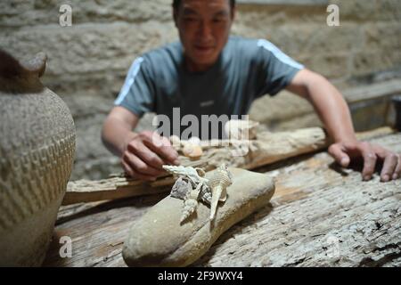 (210421) -- JINJIANG, 21 aprile 2021 (Xinhua) -- Cai Jingxiang mostra conchiglie che ha raccolto dalla spiaggia nella sua sala esposizioni di derive marine nella città di Jinjiang, nella provincia del Fujian della Cina sudorientale, il 19 aprile 2021. Il CAI Jingjiang, un designer di annunci pubblicitari di carriera, è tornato cinque anni fa alla sua città natale al villaggio di Tangdong, città di Jinjiang. Trovò ispirazione dalle derive marine lavate a riva vicino al suo villaggio, molte delle quali in forme uniche. Un giorno dopo l'altro, Cai ha cercato attraverso la spiaggia e ha portato a casa derive con il potenziale artistico, e li ha trasformati in pezzo Foto Stock