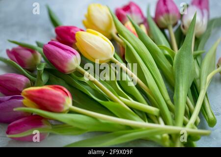 Bel bouquet colorato di tulipani primaverili, tulipani primaverili Foto Stock