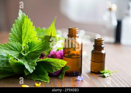 Medicina alternativa, oli di erbe curative, oli di aromaterapia erboristici con piante medicinali ed erbe, bottiglie di oli essenziali Foto Stock