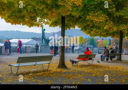 ZURIGO, SVIZZERA, 24 OTTOBRE 2015: Passeggiata lungo il lago di zurigo in autunno Foto Stock