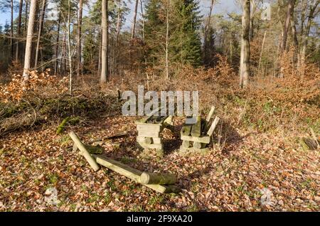 Panchine in legno rotte e distrutte e tavolo da picnic lungo un sentiero escursionistico e sentiero a Westerwald, Renania-Palatinato, Germania, Europa Foto Stock