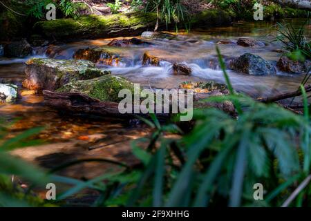 Piccolo vapore roccioso che scorre attraverso il Gibilterra Range National Park, NSW Australia. Foto Stock