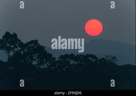 Fantastico il sole rosso che tramonta sopra la giungla profonda e la catena montuosa, pieno sole in inverno. Parco Nazionale di Khao Yai. Foto Stock