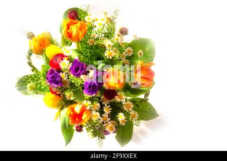 ARTE FLOREALE: Fiori di Primavera Foto Stock