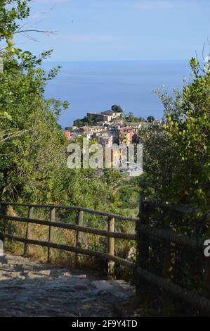 Parte del sentiero di 120 km che attraversa le cinque Terre, è una parte del famoso sentiero che va dalla Corniglia alla Vernazza Foto Stock