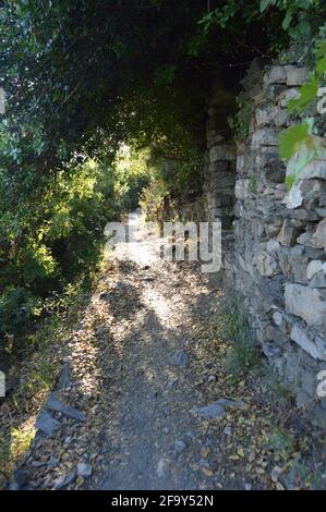 Parte del sentiero di 120 km che attraversa le cinque Terre, è una parte del famoso sentiero che va dalla Corniglia alla Vernazza Foto Stock