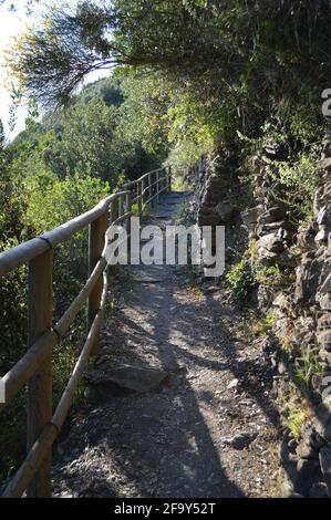 Parte del sentiero di 120 km che attraversa le cinque Terre, è una parte del famoso sentiero che va dalla Corniglia alla Vernazza Foto Stock