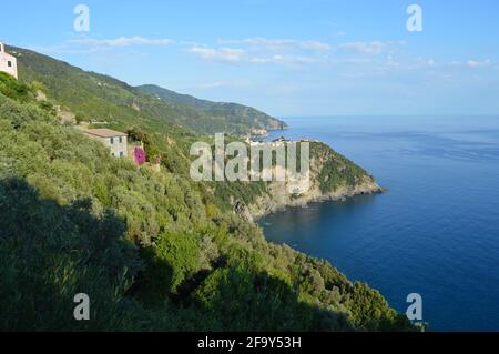 Parte del sentiero di 120 km che attraversa le cinque Terre, è una parte del famoso sentiero che va dalla Corniglia alla Vernazza Foto Stock