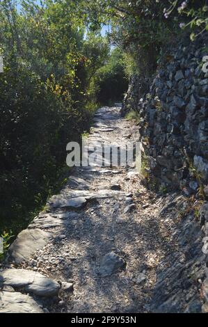 Parte del sentiero di 120 km che attraversa le cinque Terre, è una parte del famoso sentiero che va dalla Corniglia alla Vernazza Foto Stock