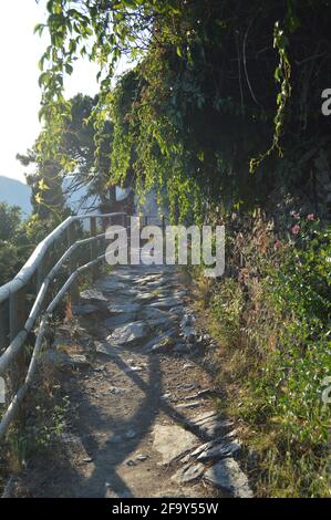 Parte del sentiero di 120 km che attraversa le cinque Terre, è una parte del famoso sentiero che va dalla Corniglia alla Vernazza Foto Stock