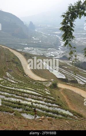 Vista panoramica dei campi di riso nel paese del Vietnam Foto Stock