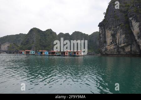 Vista panoramica delle acque verdi, delle formazioni rocciose e delle case galleggianti e delle barche sulla Baia di ha Long in Vietnam Foto Stock