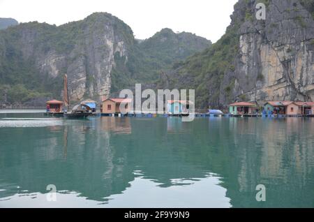 Vista panoramica delle acque verdi, delle formazioni rocciose e delle case galleggianti e delle barche sulla Baia di ha Long in Vietnam Foto Stock