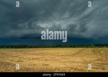 Supercella tempesta in cielo grigio su campi agricoli, Czulczyce, Lubelskie, Polonia Foto Stock