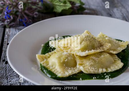 Ravioli ripieni di patate e carote su un letto di Purea di borragine con una spruzzata di parmigiano e nero pepe Foto Stock
