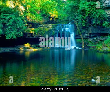 Regno Unito, Inghilterra, North Yorkshire, West Burton Falls, Walden Beck, estate Foto Stock