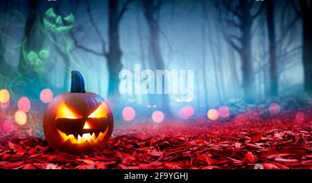 Zucca sulle foglie rosse nella foresta di Spooky con fumo fantasma - Halloween Foto Stock