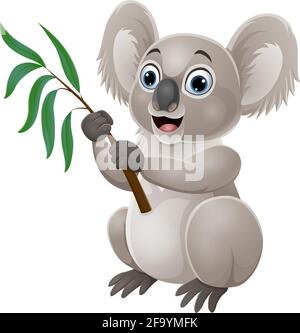 Koala di cartone animato che tiene un ramo di albero dell'eucalipto Illustrazione Vettoriale