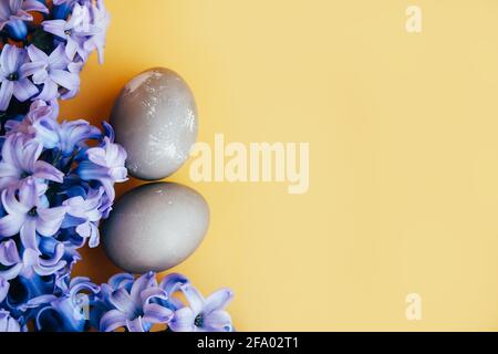 Uova di Pasqua dipinte naturali grigie e fiore di Giacinto su sfondo giallo Foto Stock