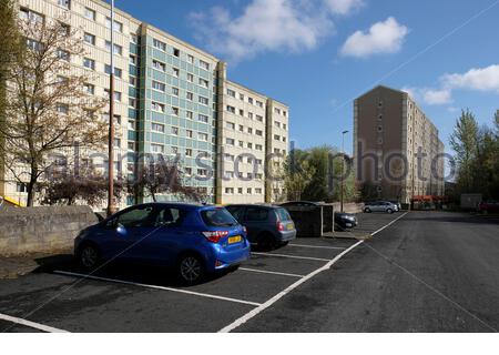 Wester Hailes Tower Blocks, Edimburgo, Scozia Foto Stock