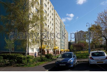 Wester Hailes Tower Blocks, Edimburgo, Scozia Foto Stock