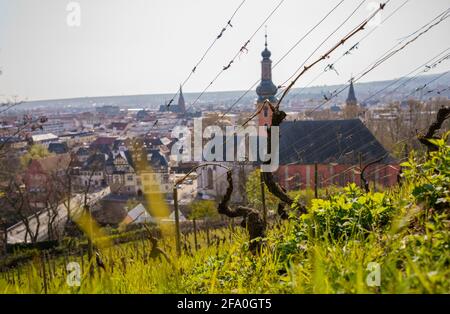 Bad Kreuznach, Germania. 21 Apr 2021. Vista dal Kauzenberg a Bad Kreuznach con il protestante Pauluskirche in primo piano. Credit: Andreas Arnold/dpa/Alamy Live News Foto Stock
