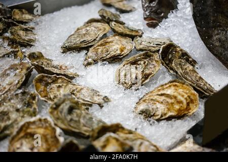 Frutti di mare - la passera e le ostriche giacciono sul bancone sul ghiaccio in negozio. Spazio di copia. Messa a fuoco selettiva. Foto Stock