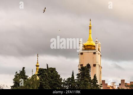 Chiesa di San Nicola e Alessandra di Roma. La cupola della vecchia chiesa circondata da gabbiani. Foto Stock