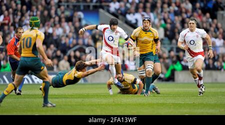 INGHILTERRA V AUSTRALIA A TWICKENHAM. 15/11/2008. DANNY CIPRIANI IMMAGINE DAVID ASHDOWN Foto Stock