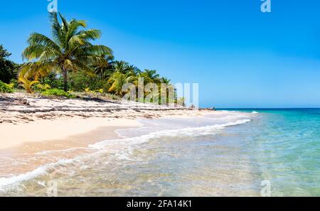 Camp Bay Beach, Playa Barbon a Roatan Foto Stock