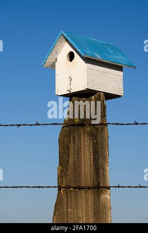 Bluebird box vicino Bickleton Washington con un classico tetto blu su un vecchio palo di recinto contro uno sfondo blu del cielo Foto Stock