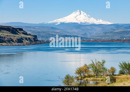 Mount Hood in una giornata limpida sorge sopra una calma Fiume Columbia tra l'Oregon e lo stato di Washington Foto Stock