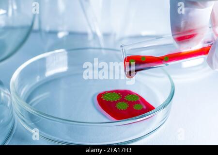 Laboratorio medico. Una mano in un guanto medico versa il sangue con il virus in una capsula di Petri per l'analisi. Test di laboratorio. Il concetto di un positivo v Foto Stock
