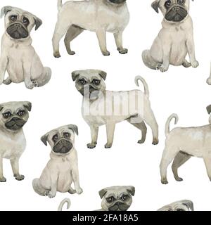 Acquerello disegno mano senza giunture con pug cani razza isolata su sfondo bianco. Simpatici animali da compagnia carino cartone animato per tessuto carta da imballaggio di fondo texture. Stampa nido trendy per bambini Foto Stock