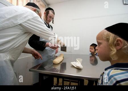 Israele, Tel Aviv, preparando matzah. Affinché il matza sia Kosher, devono essere seguite rigorose procedure di cottura, tutte fatte a mano e sotto una wa rigorosa Foto Stock