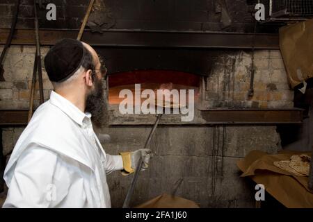 Israele, Tel Aviv, cottura matzah. Affinché il matza sia Kosher, devono essere seguite procedure di cottura rigorose, tutte fatte a mano e sotto un rigoroso orologio Foto Stock