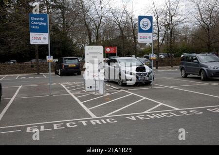 Auto Nissam Leaf al punto di ricarica elettrica gratuito Teso Stow-on-the-Wold Cotswolds Regno Unito Foto Stock