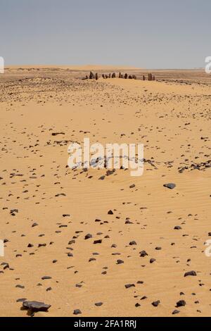 Sito originale nel deserto occidentale del 'Circolo del Calendario' Nabta Playa, deserto nubiano, Egitto Foto Stock