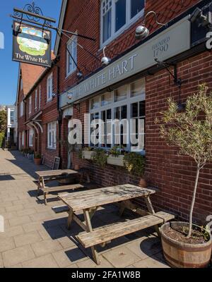 Il pub White Hart nella città mercato di Arundel sul South Downs in West Sussex, Regno Unito; panchine fuori per il tempo caldo Foto Stock